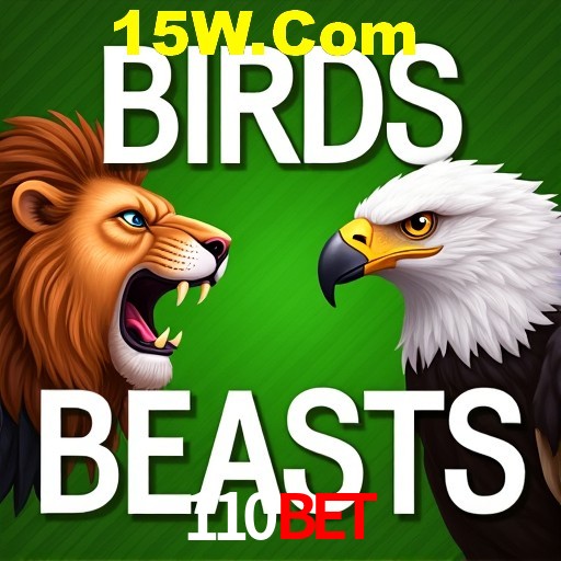 110bet Rio de Janeiro - Bonus Terms
