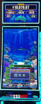 VIP Casino 110bet